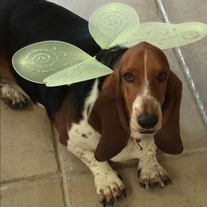 Meet your Posher, Devon